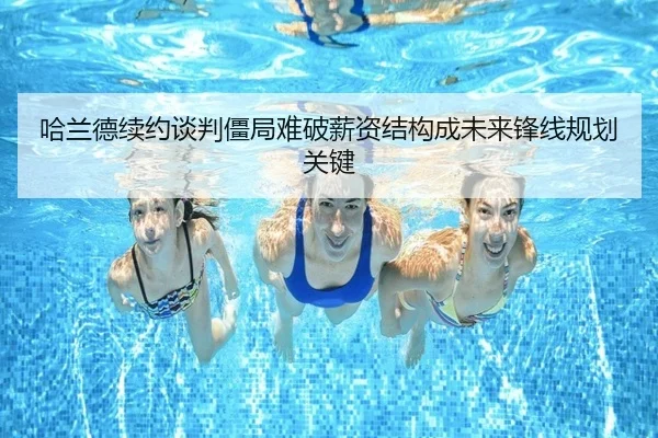 ha-lan-de-xu-yue-tan-pan-jiang-ju-nan-po-xin-zi-jie-gou-cheng-wei-lai-feng-xian-gui-hua-guan-jian-3-997.jpg